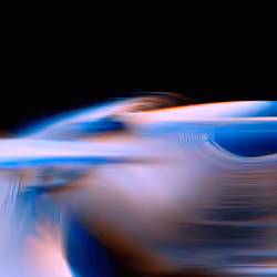 Momentum #113