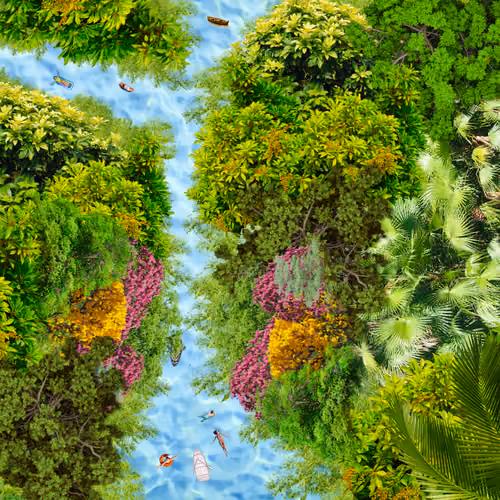 THE WONDER OF NATURE V2
