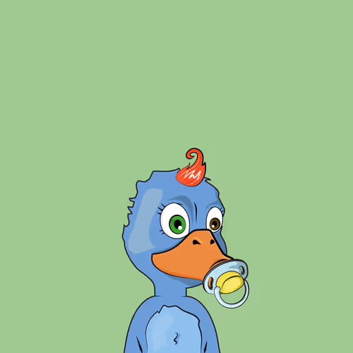 Baby Duck Pond