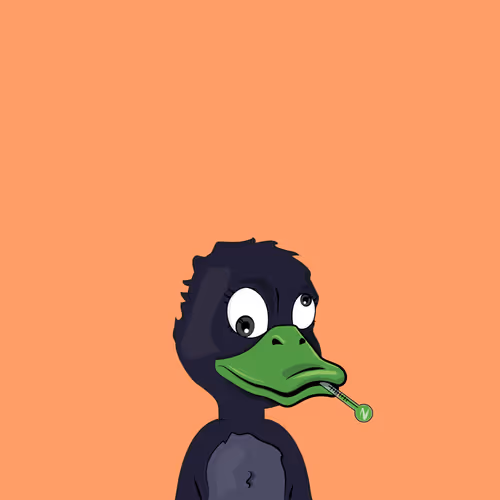 Baby Duck Pond