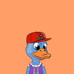 Baby Duck #1570