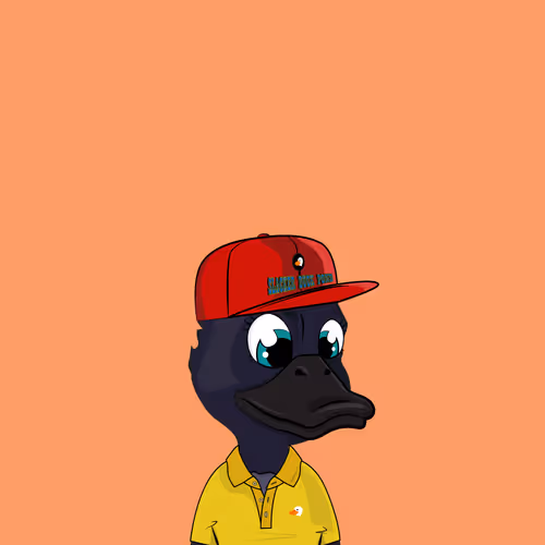 Baby Duck Pond