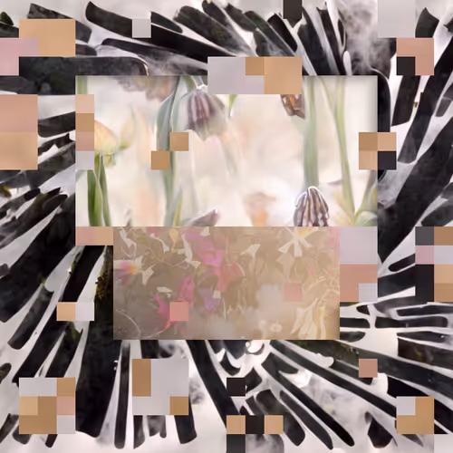 Arrangements 1