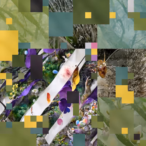 Arrangements 1