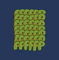 Item Media