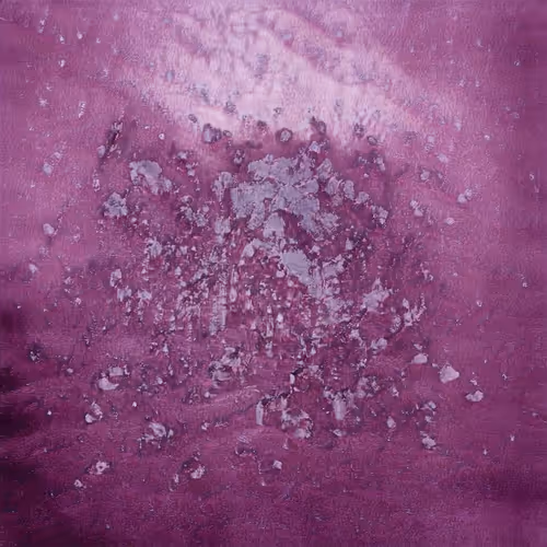 Item #2000100099 Media