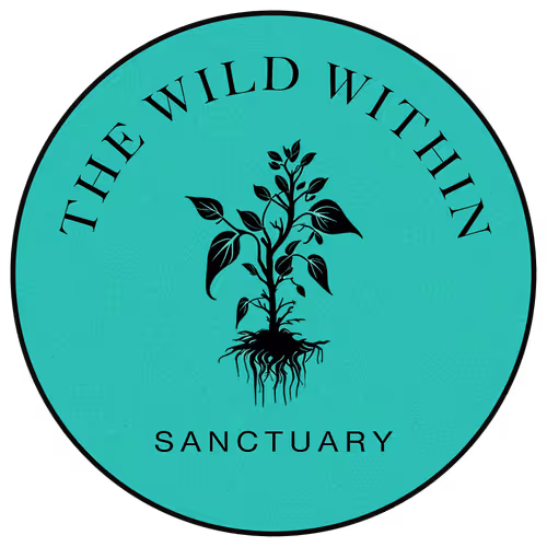 Sanctuary Attendance Token