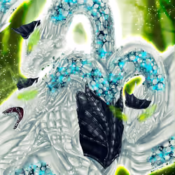 HatchDraco #6673