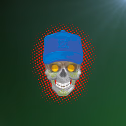 Calavera #182 - Christopher Domingues