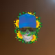 256