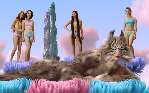 Item #80776473799518410764992022966159669685505126635997815336491014110275297962831 Media