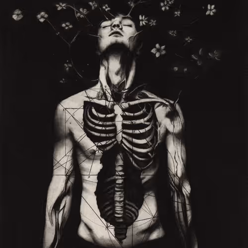 Spleen 2