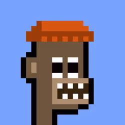 256