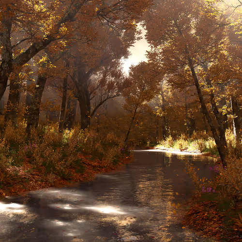 Shady Creek