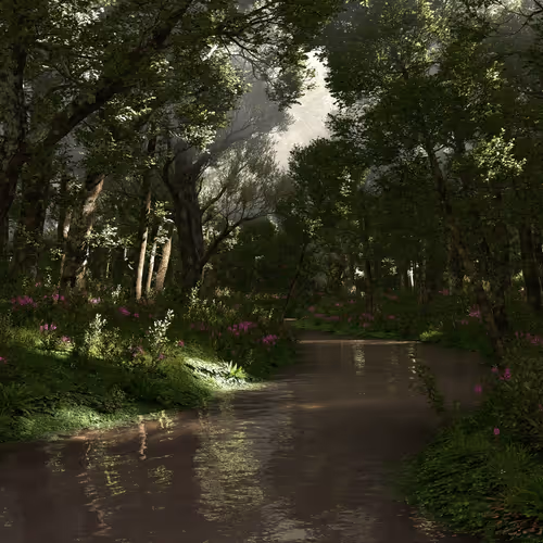 Shady Creek