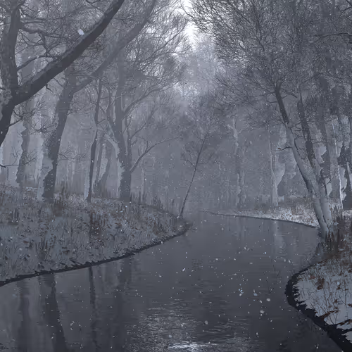 Shady Creek