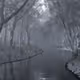 Shady Creek