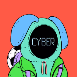 Hoodie Boy # 1148