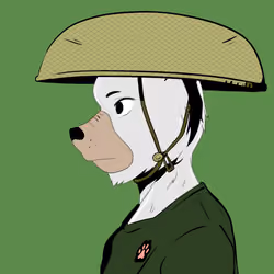 Okay Azukis #8937