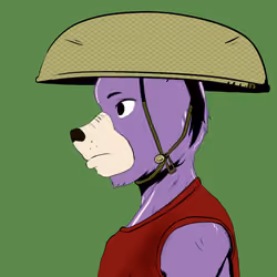Okay Azukis #214