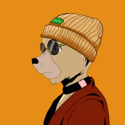Okay Azukis #5376