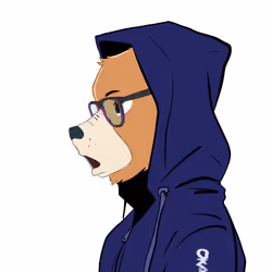 Okay Azukis #1594
