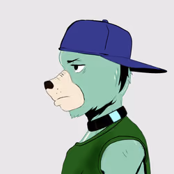 Okay Azukis #5181