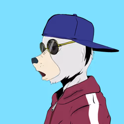 Okay Azukis #4611