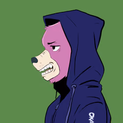 Okay Azukis #1479