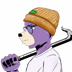 Okay Azukis #723
