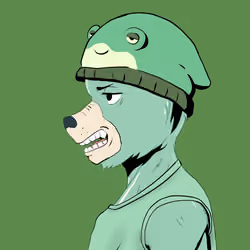 Okay Azukis #8433