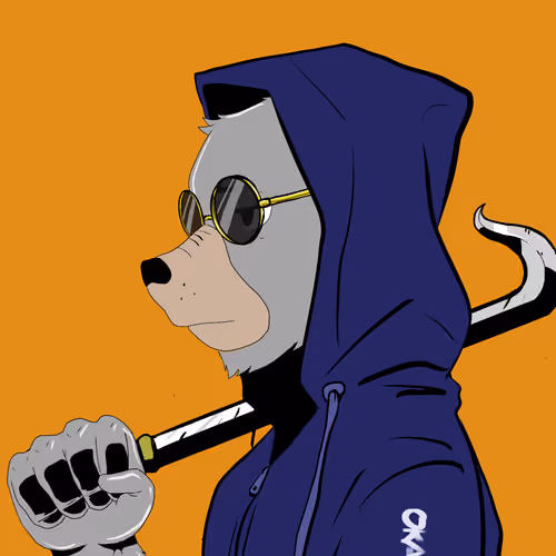 Okay Azukis #7559