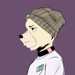 Okay Azukis #9756