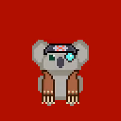 Koalified #1637