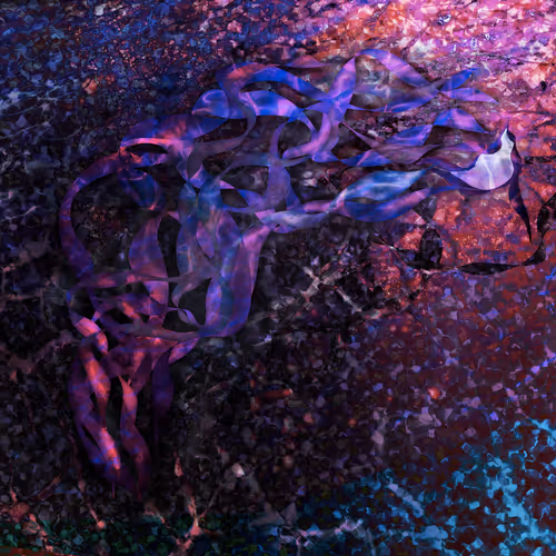 Seed - UqMqQE5H82