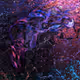 Seed - UqMqQE5H82