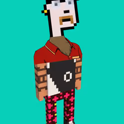 Bored Punk Meebits #132