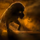 The Lion Wakes Tonight