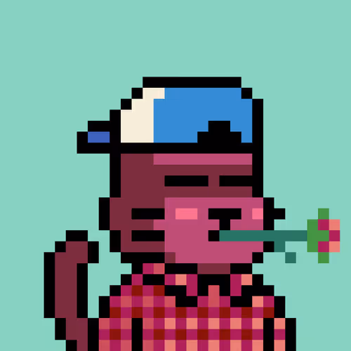 Onlynyan