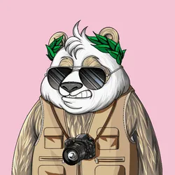 Wanna Panda #4555