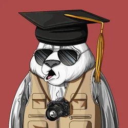 Wanna Panda #2500