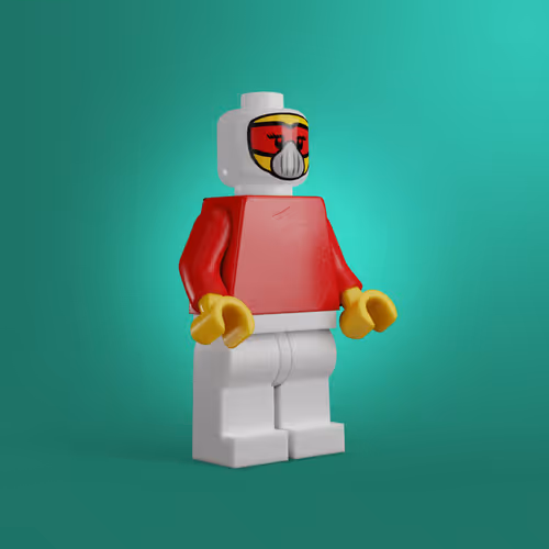 Item #493 Media