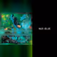 91