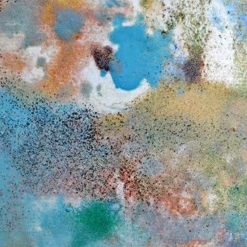 Surface Worlds - 1