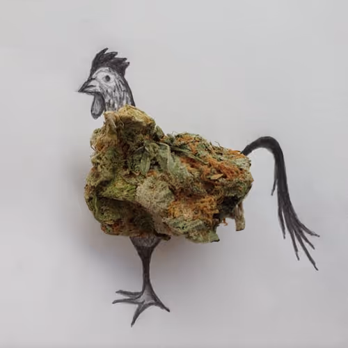 Ganja Master Collection