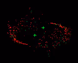 47896422095579711099185835491703333438573086439509639910123685376750831346260