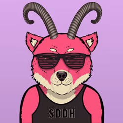 SDD Hybrid 206