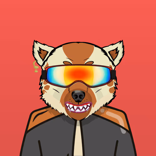 Shiba Diba Doo Hybrids