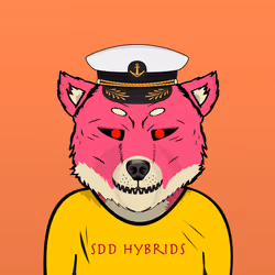 SDD Hybrid 197