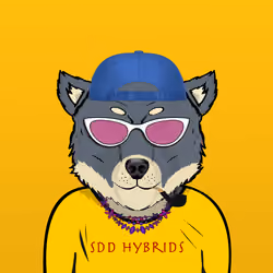 SDD Hybrid 259